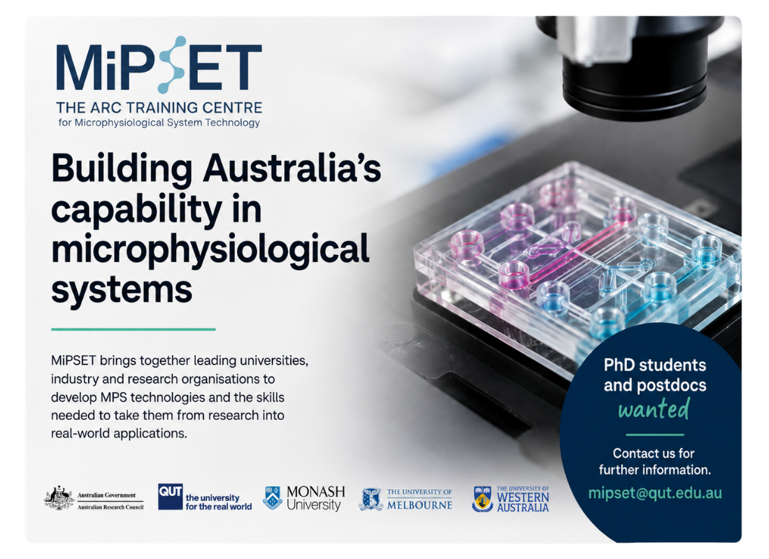 MiPSET research